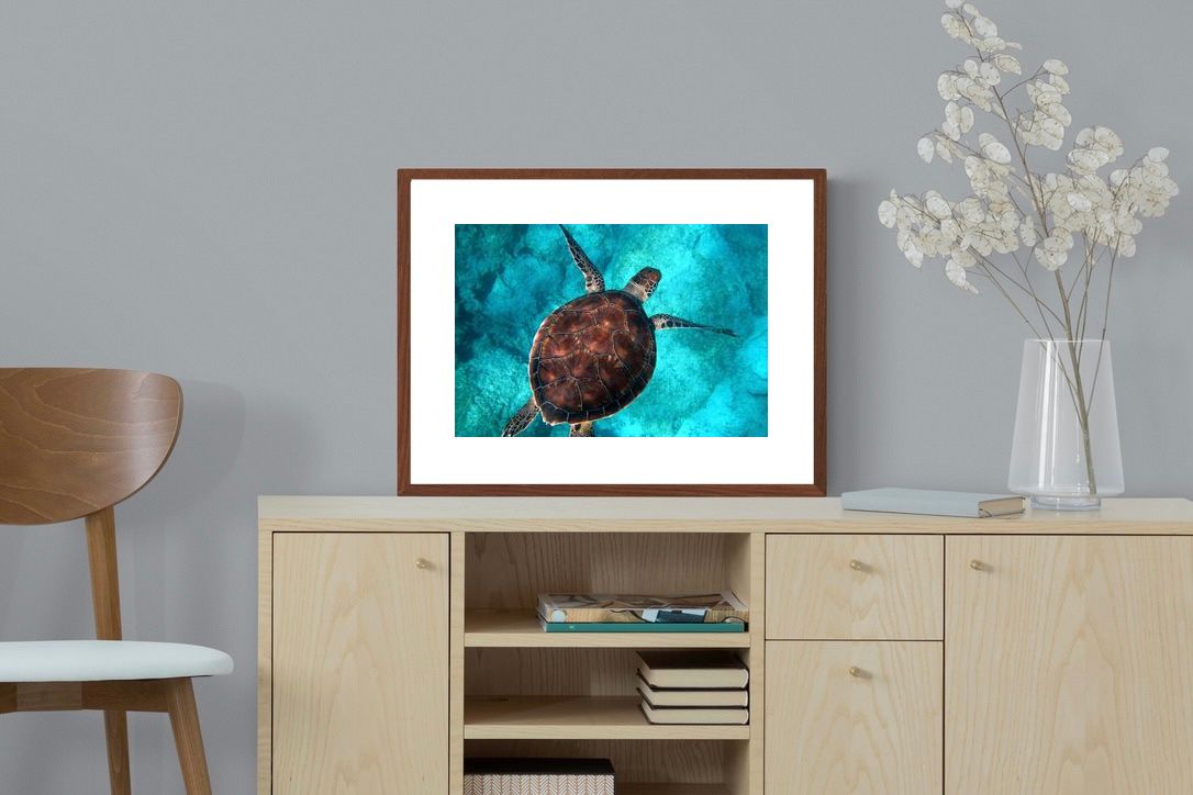 Pixalot ® Into the Blue