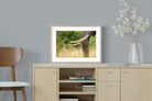 Pixalot ® Ivory Curve
