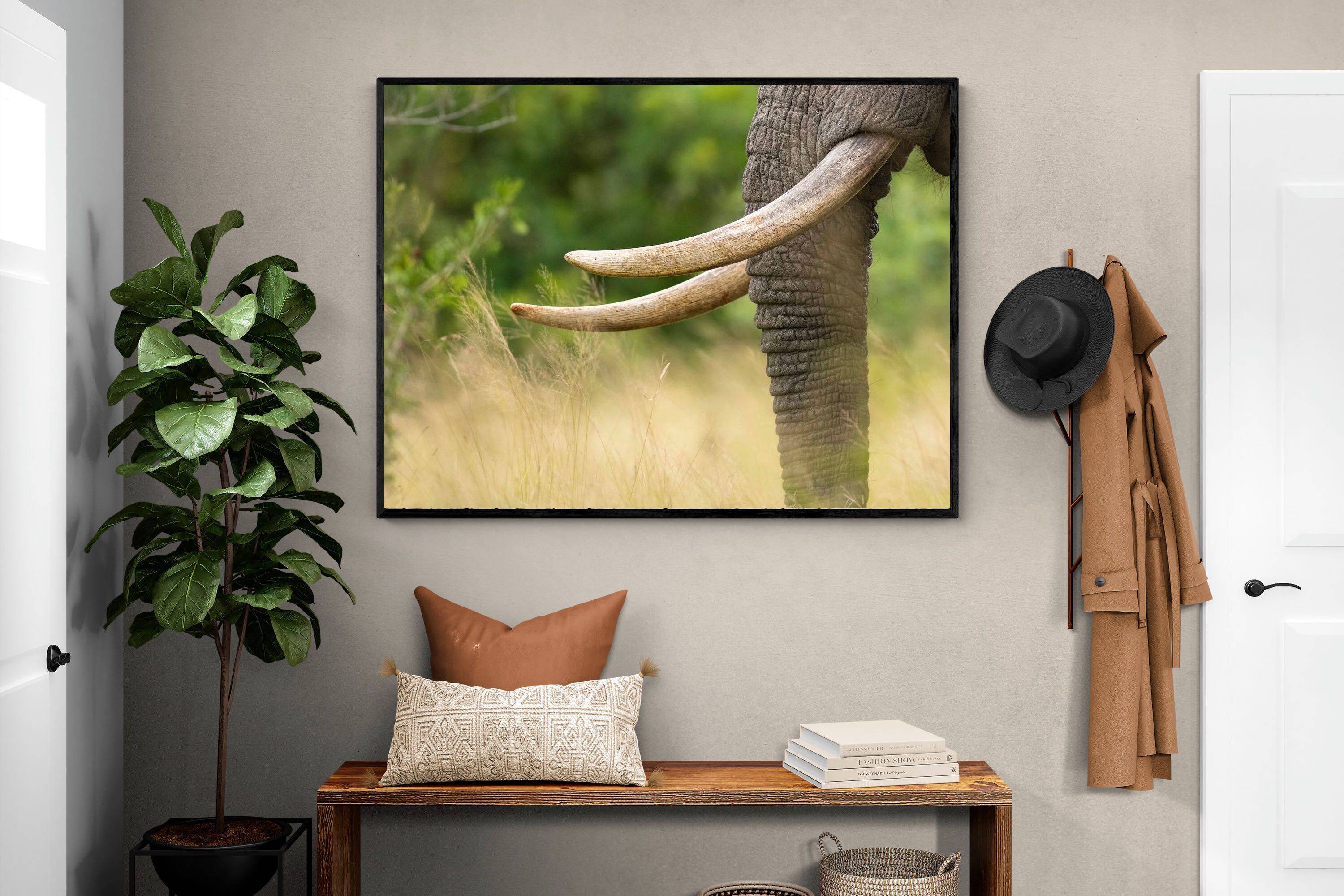 Pixalot ® Ivory Curve