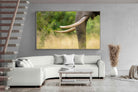 Pixalot ® Ivory Curve