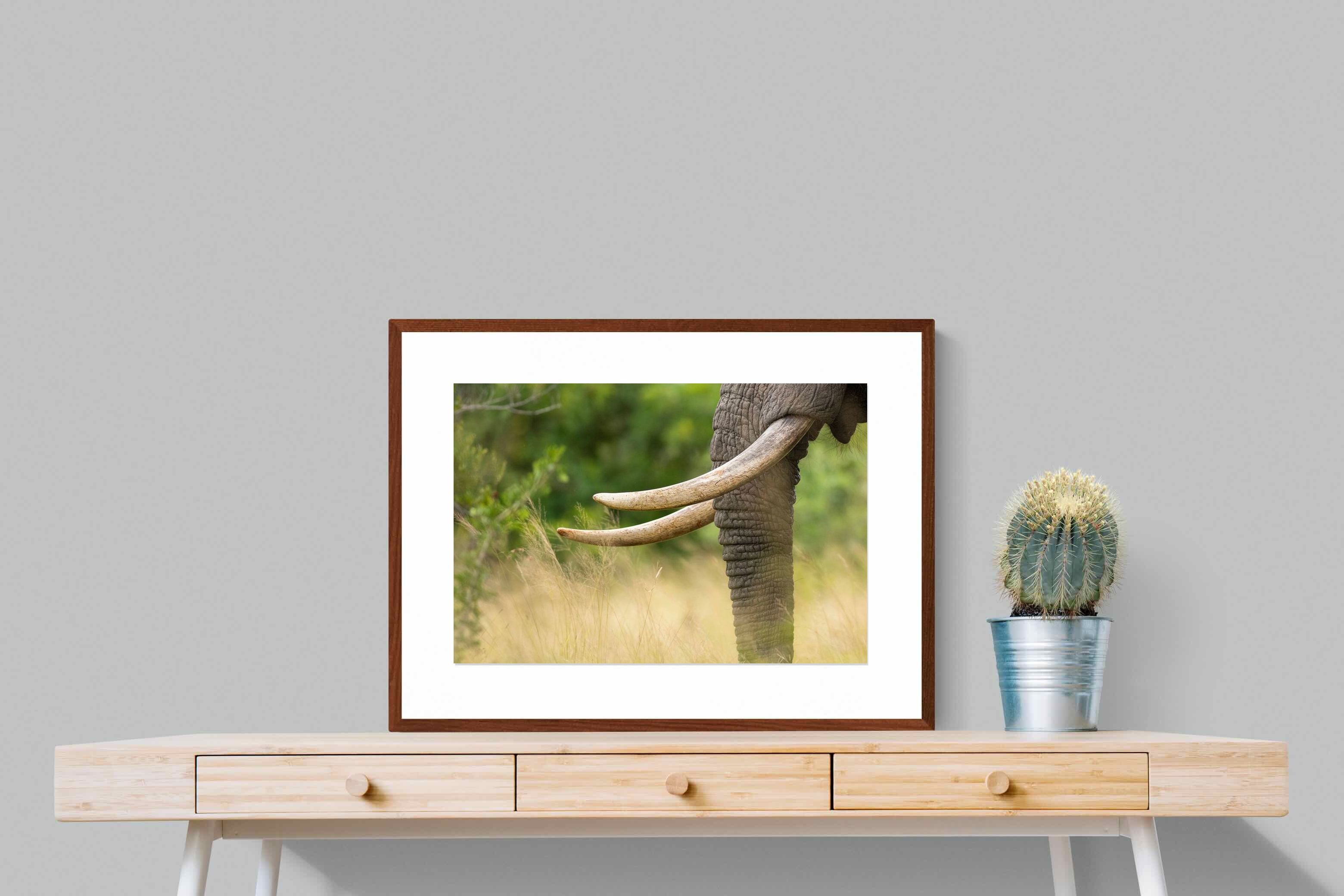 Pixalot ® Ivory Curve