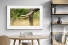 Pixalot ® Ivory Curve