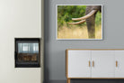 Pixalot ® Ivory Curve