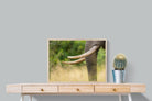 Pixalot ® Ivory Curve