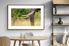 Pixalot ® Ivory Curve
