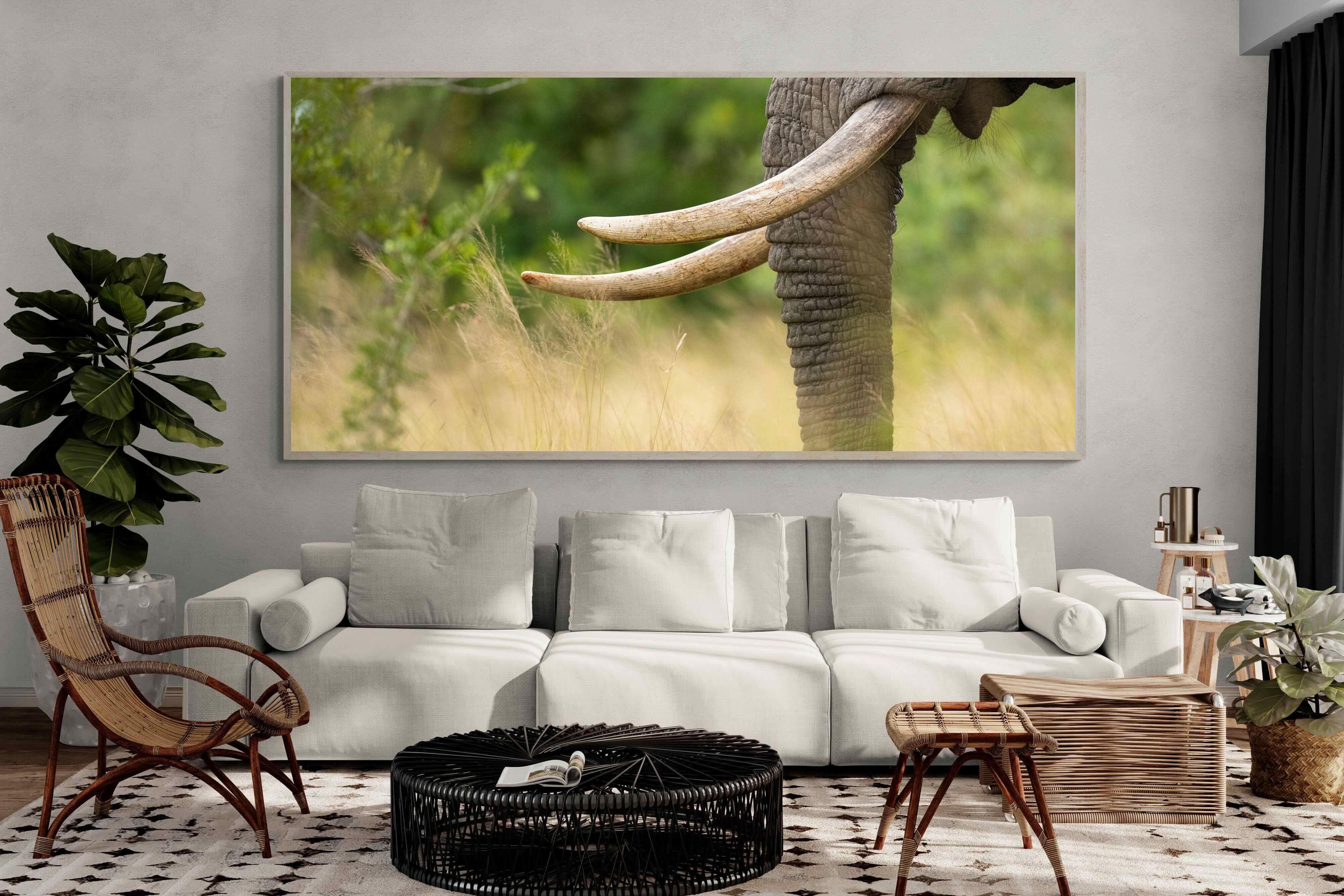 Pixalot ® Ivory Curve
