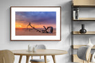 Pixalot ® Kei Mouth Driftwood
