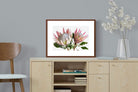 Pixalot ® King Proteas
