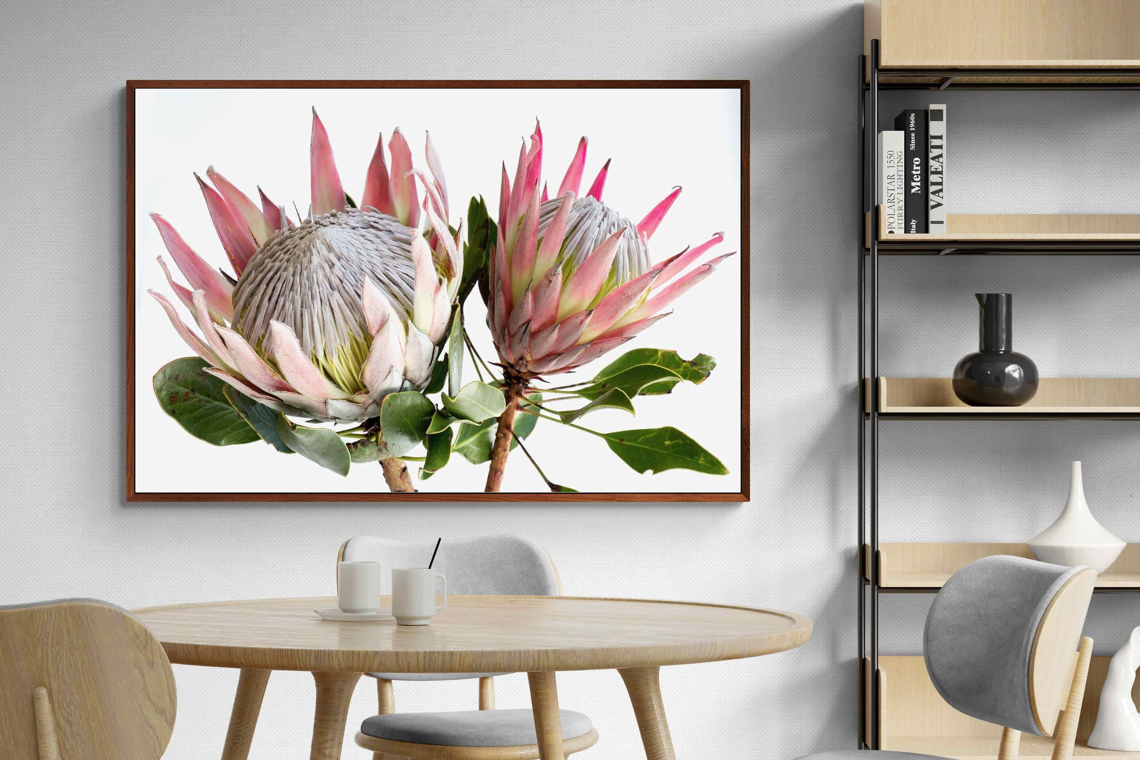 Pixalot ® King Proteas