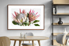 Pixalot ® King Proteas