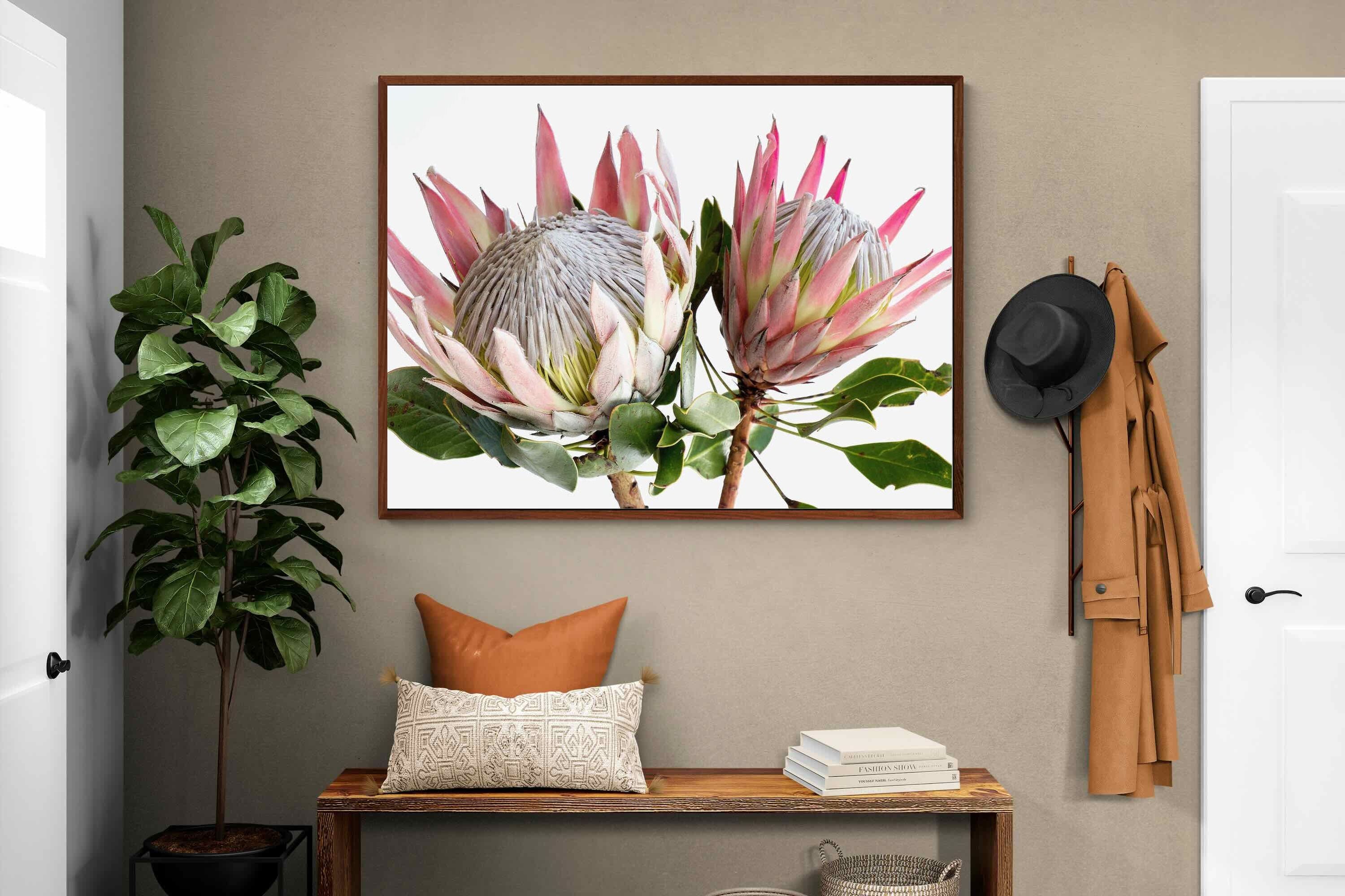 Pixalot ® King Proteas