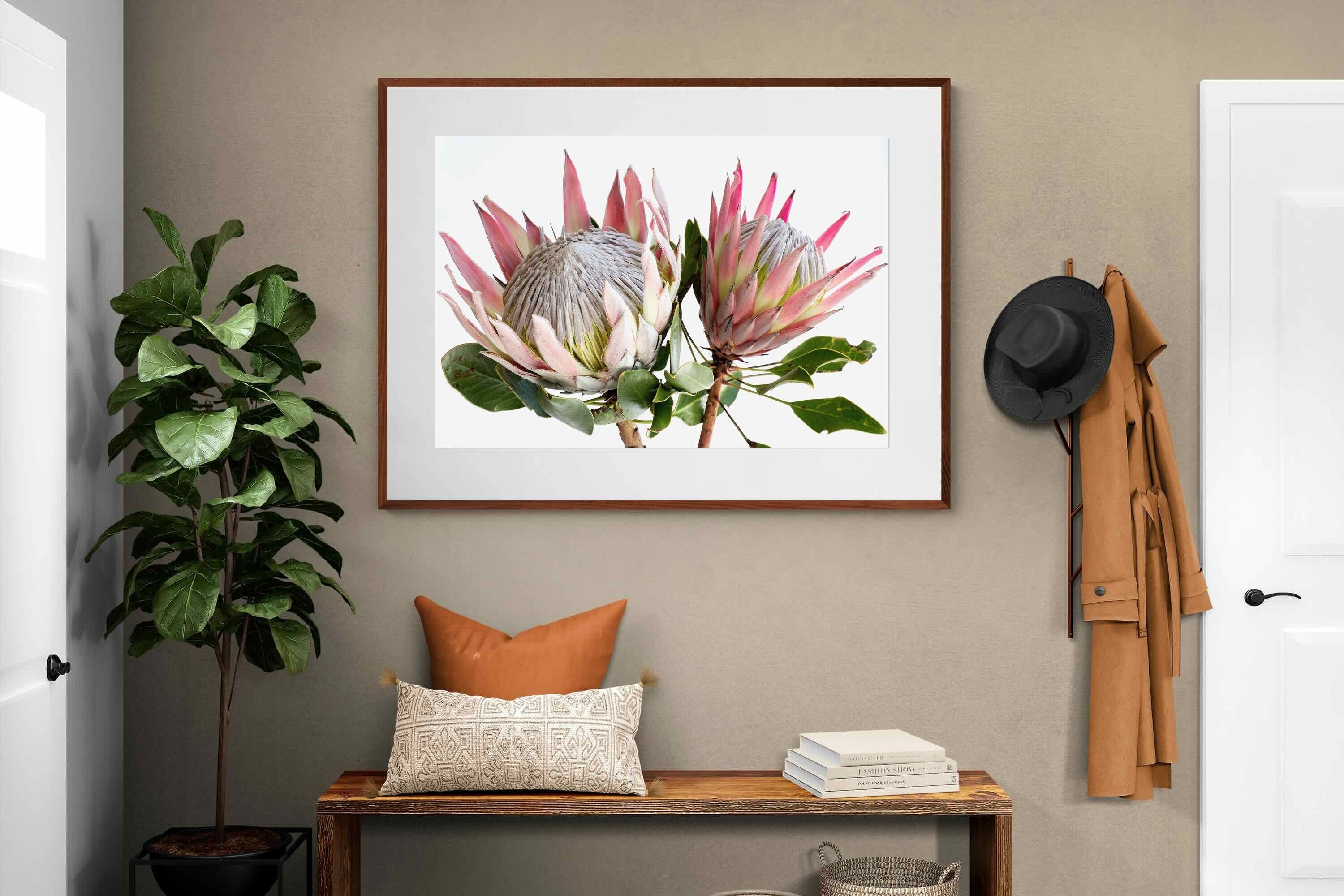 Pixalot ® King Proteas