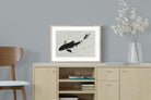 Pixalot ® Koi Drift