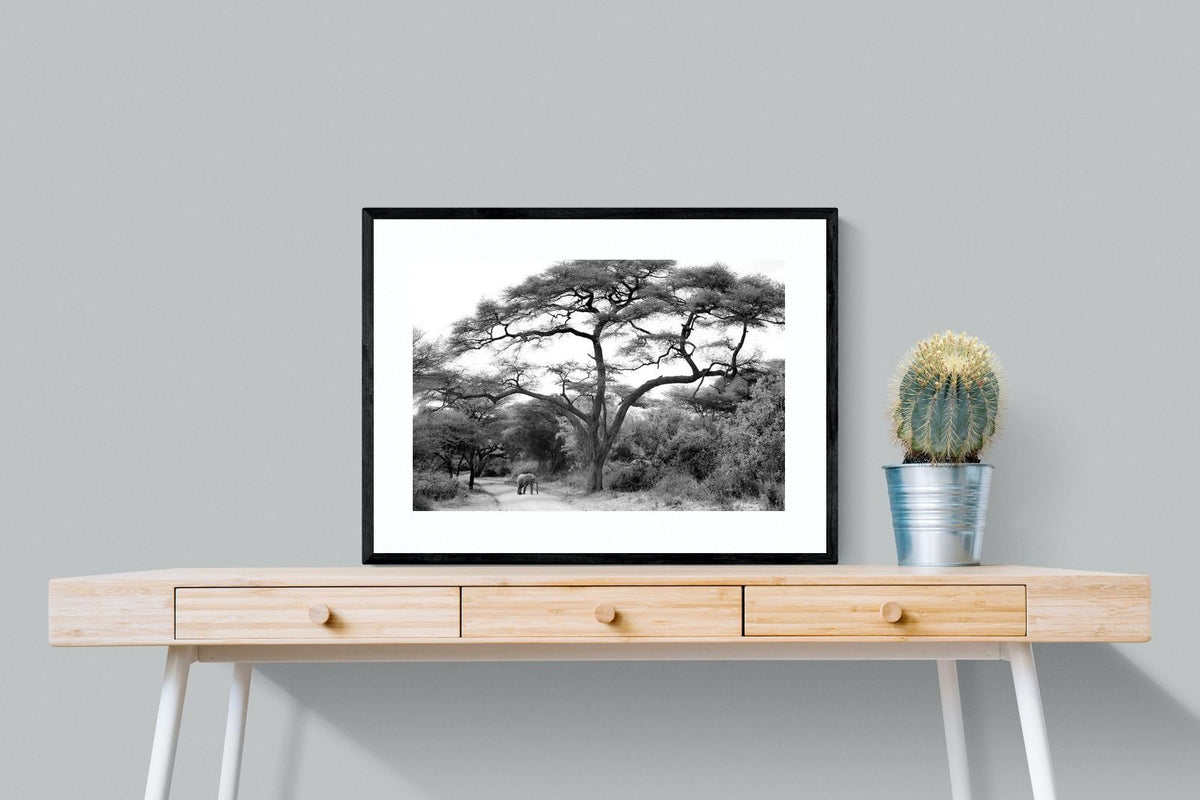 Pixalot ® Kruger Footpath