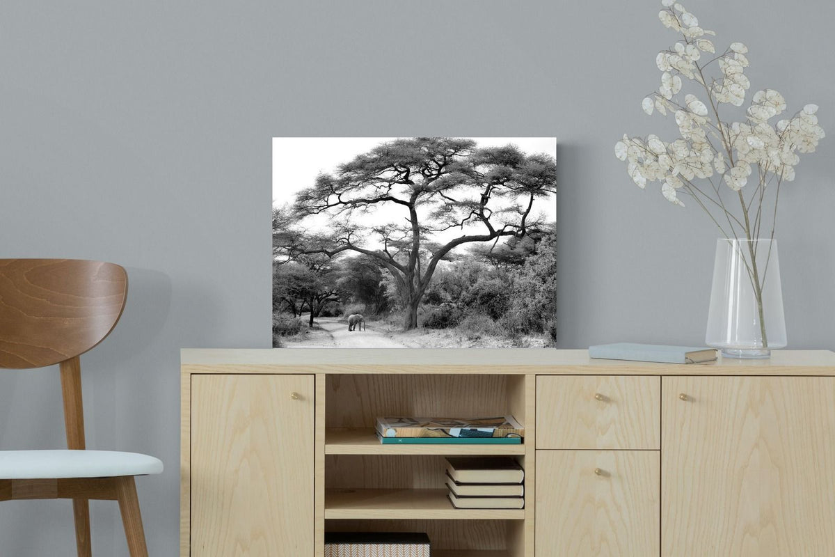 Pixalot ® Kruger Footpath