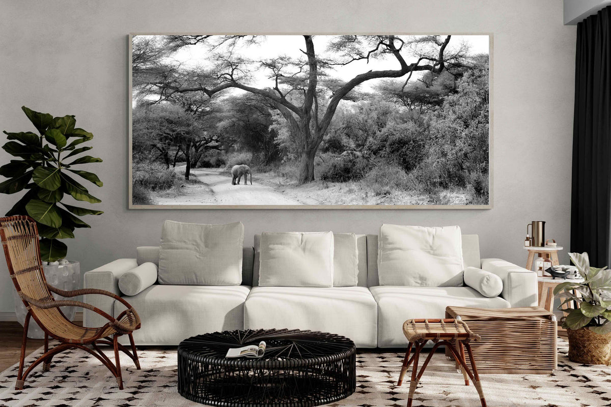 Pixalot ® Kruger Footpath