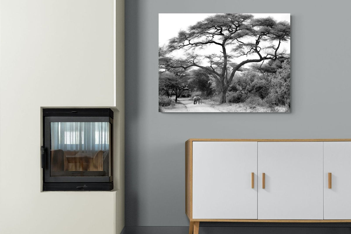 Pixalot ® Kruger Footpath