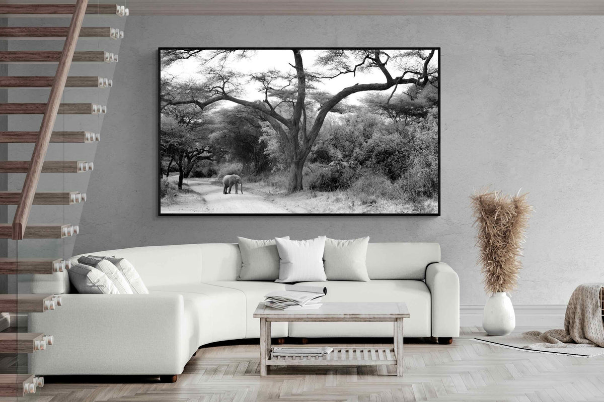 Pixalot ® Kruger Footpath