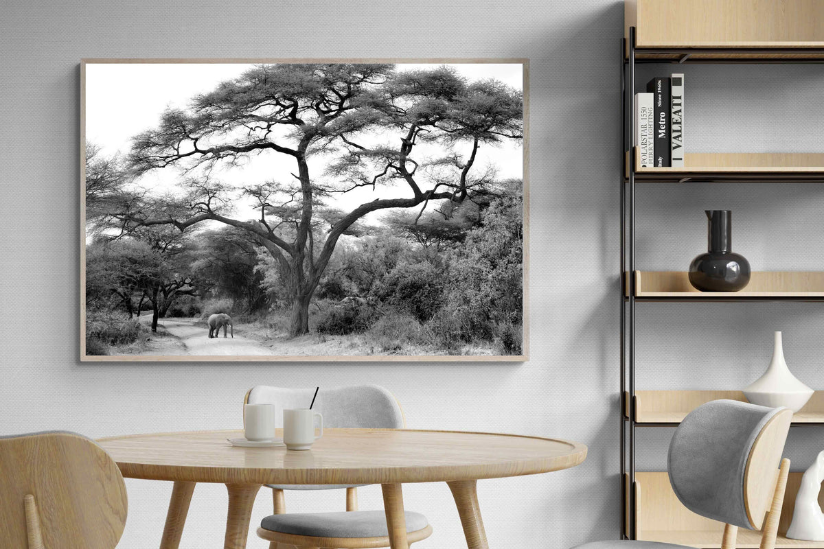 Pixalot ® Kruger Footpath
