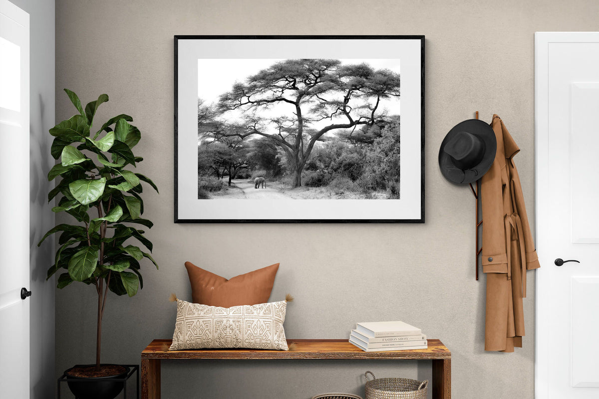 Pixalot ® Kruger Footpath