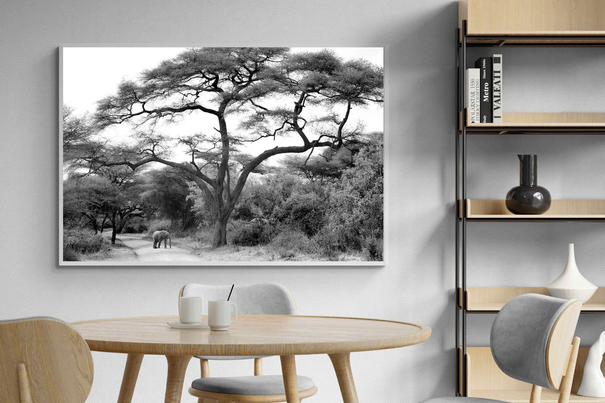Pixalot ® Kruger Footpath
