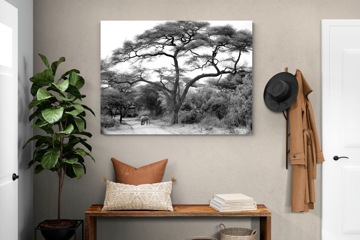 Pixalot ® Kruger Footpath