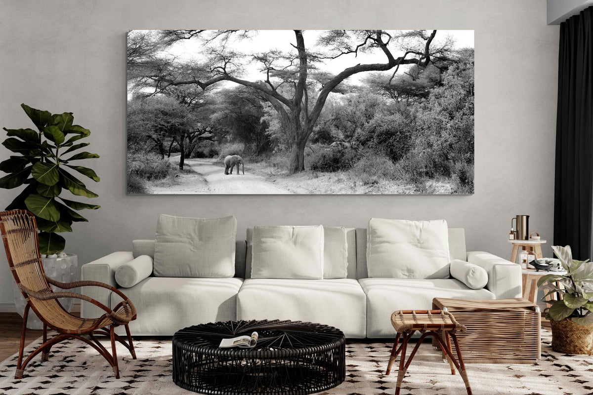 Pixalot ® Kruger Footpath