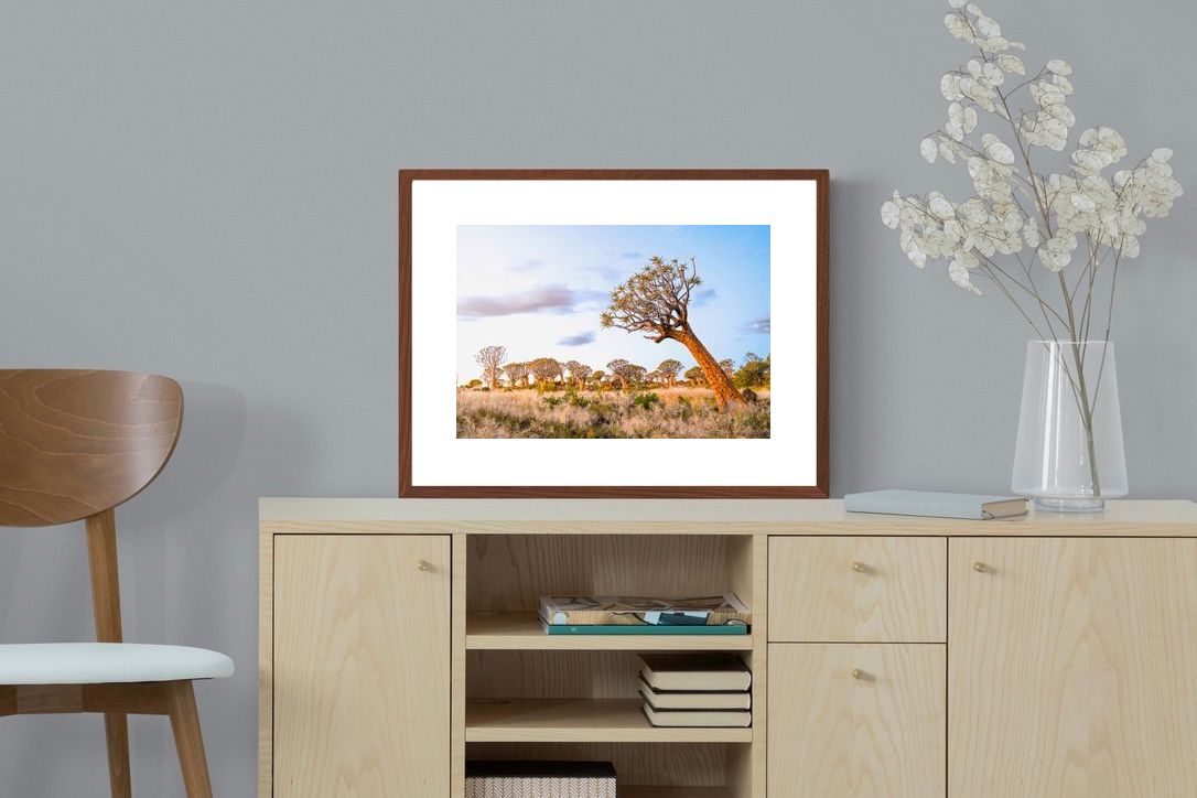 Pixalot ® Leaning Baobab