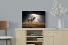 Pixalot ® Leap of Light