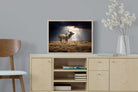 Pixalot ® Leap of Light