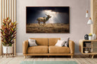Pixalot ® Leap of Light