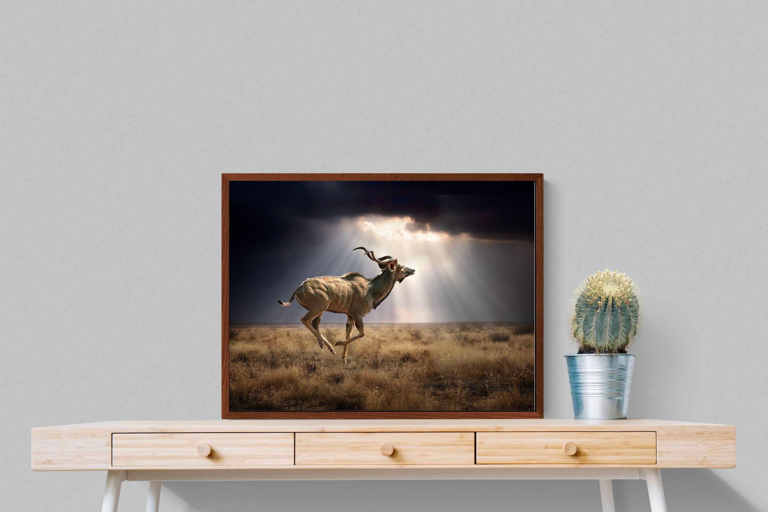 Pixalot ® Leap of Light