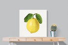 Pixalot ® Lemon