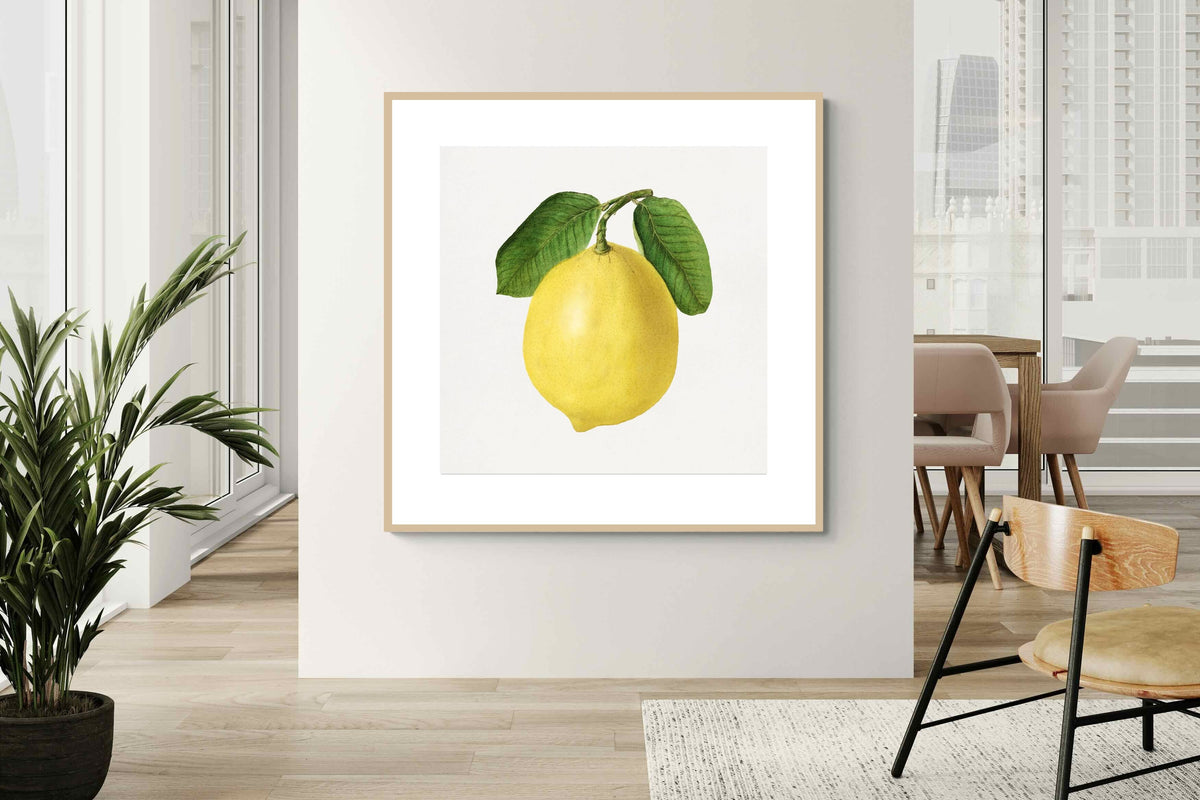 Pixalot ® Lemon