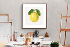 Pixalot ® Lemon