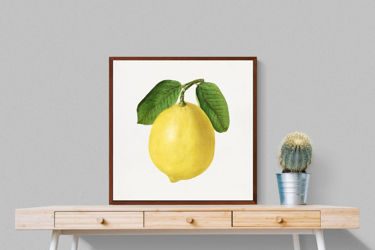 Pixalot ® Lemon