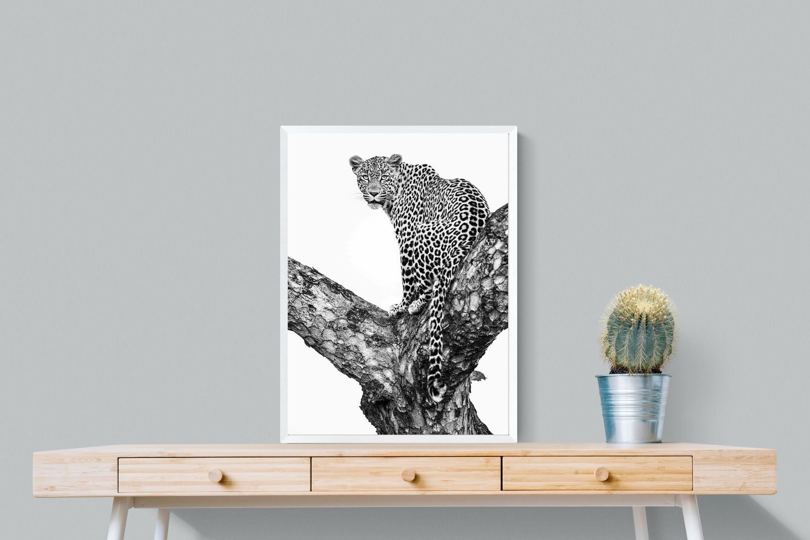 Pixalot ® Leopard in the Tree