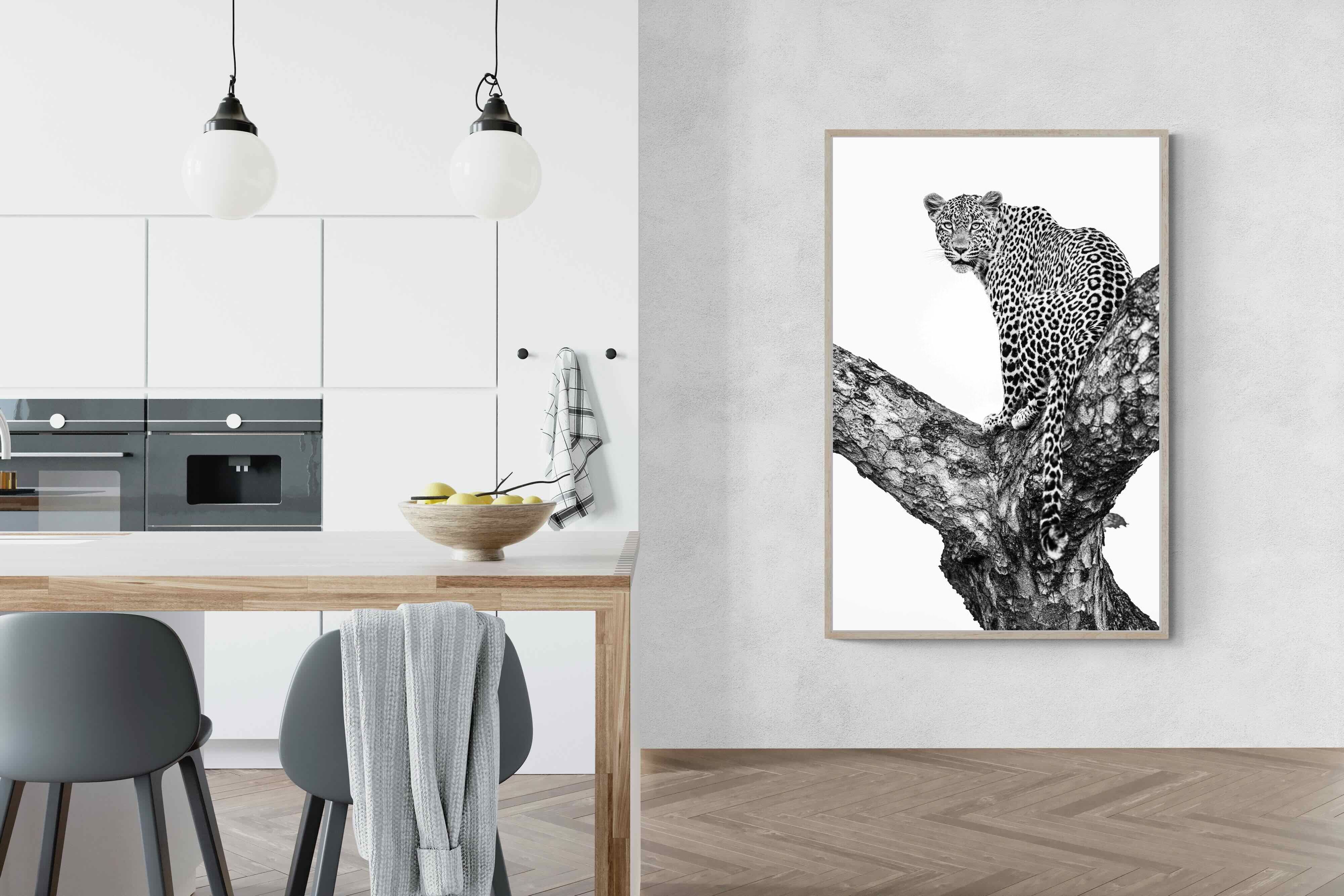 Pixalot ® Leopard in the Tree