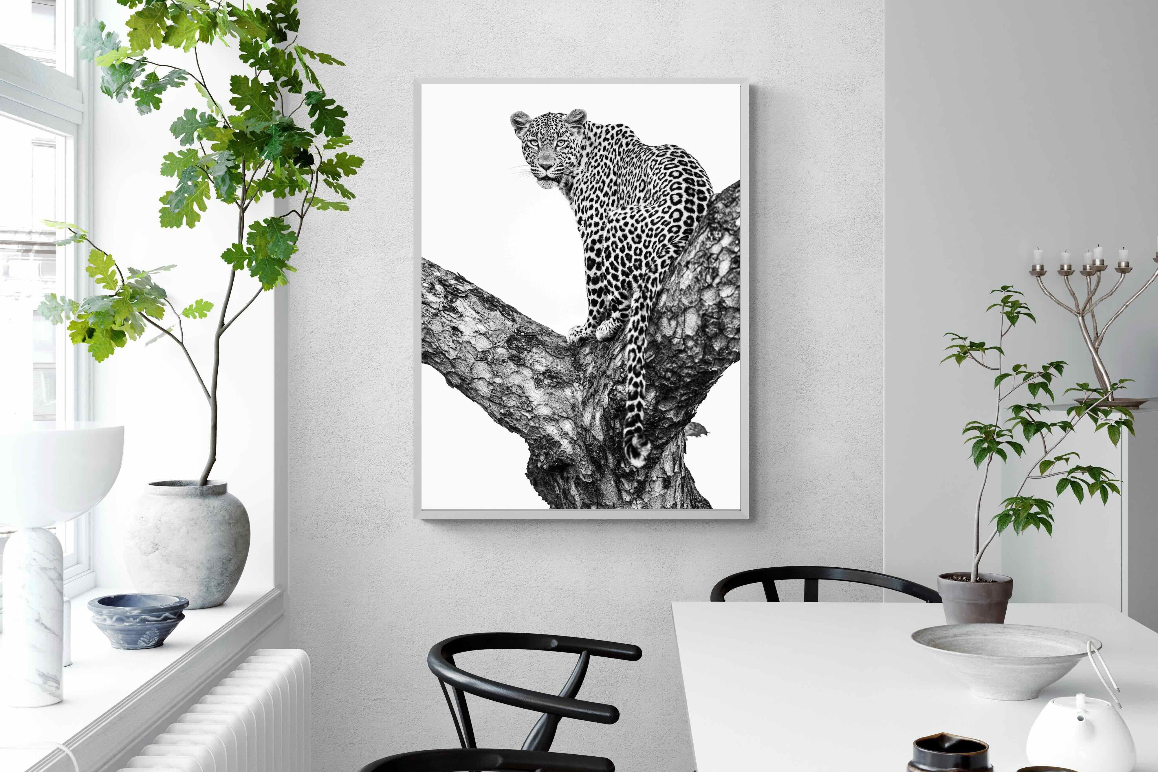 Pixalot ® Leopard in the Tree