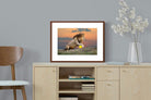 Pixalot ® Lion Sunset
