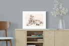 Pixalot ® Lion Watercolour
