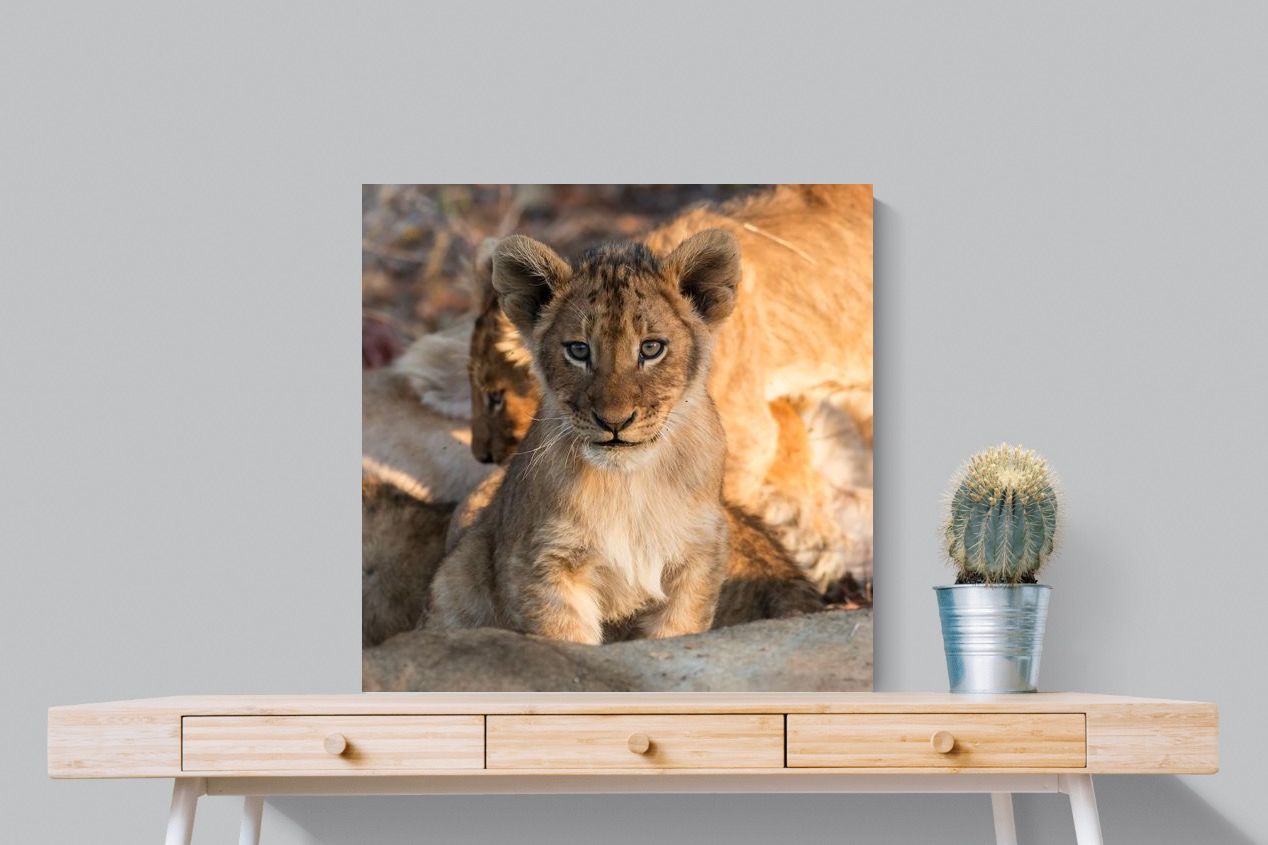 Pixalot ® Little Lion