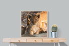 Pixalot ® Little Lion
