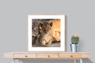 Pixalot ® Little Lion