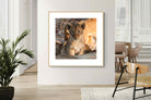Pixalot ® Little Lion