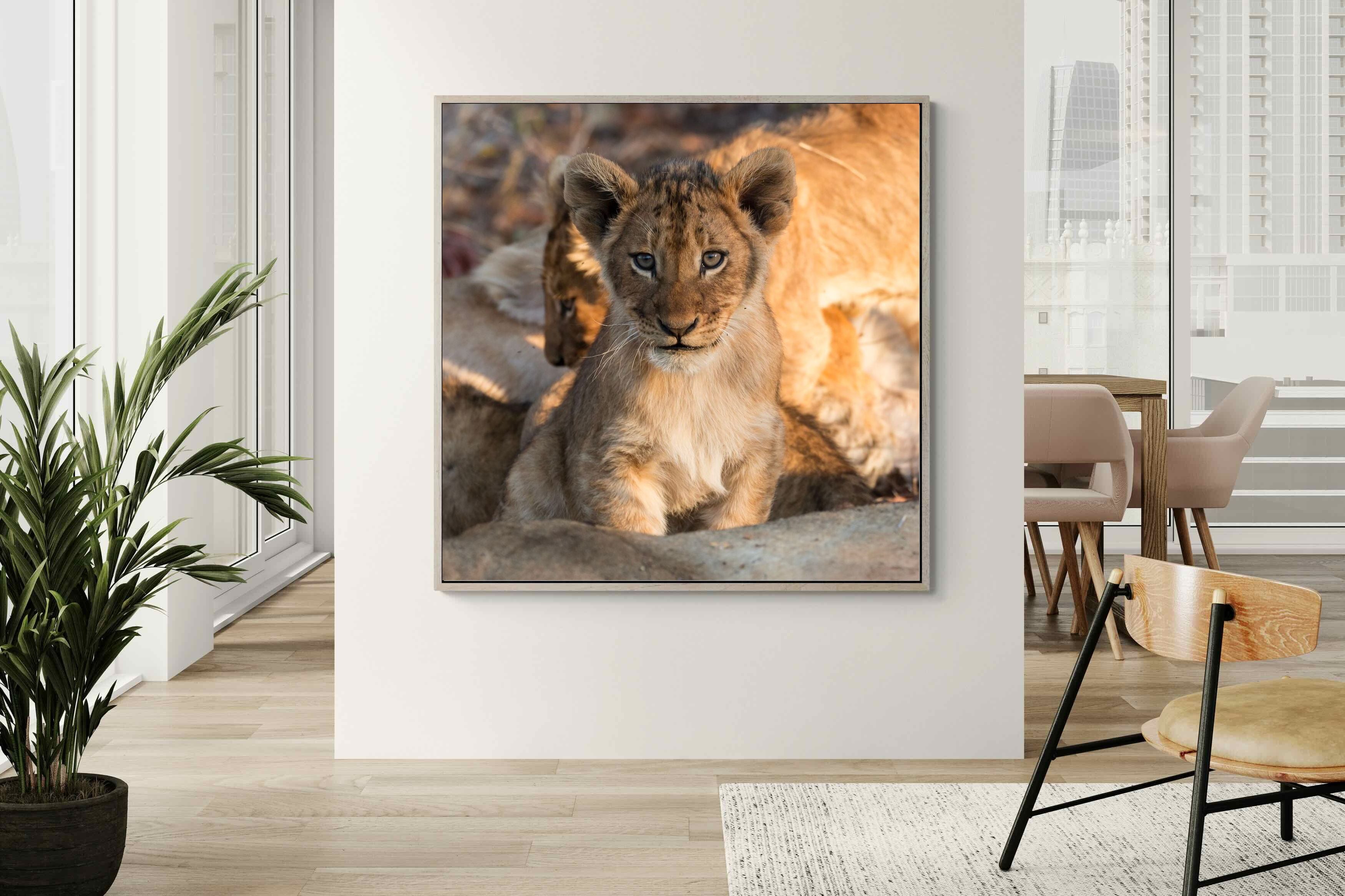 Pixalot ® Little Lion