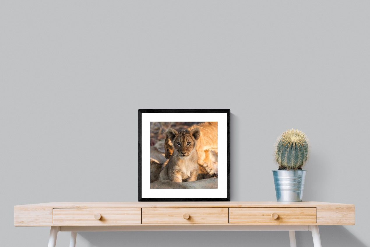 Pixalot ® Little Lion
