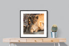 Pixalot ® Little Lion