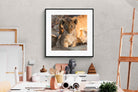 Pixalot ® Little Lion