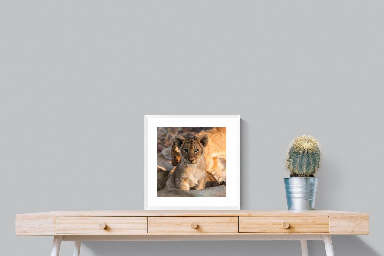 Pixalot ® Little Lion